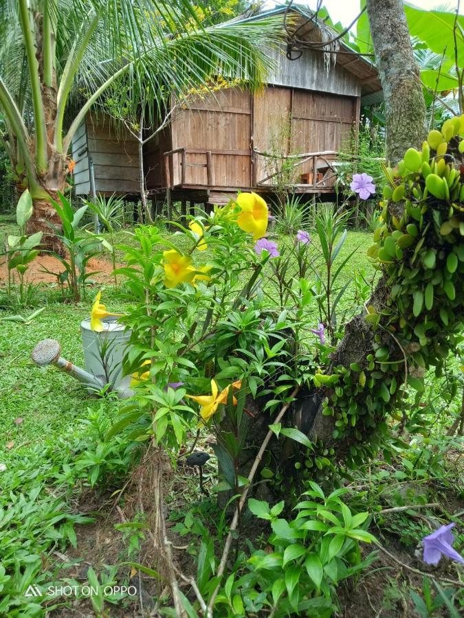Pepper Farm Phu Quoc Hotel Eksteriør billede