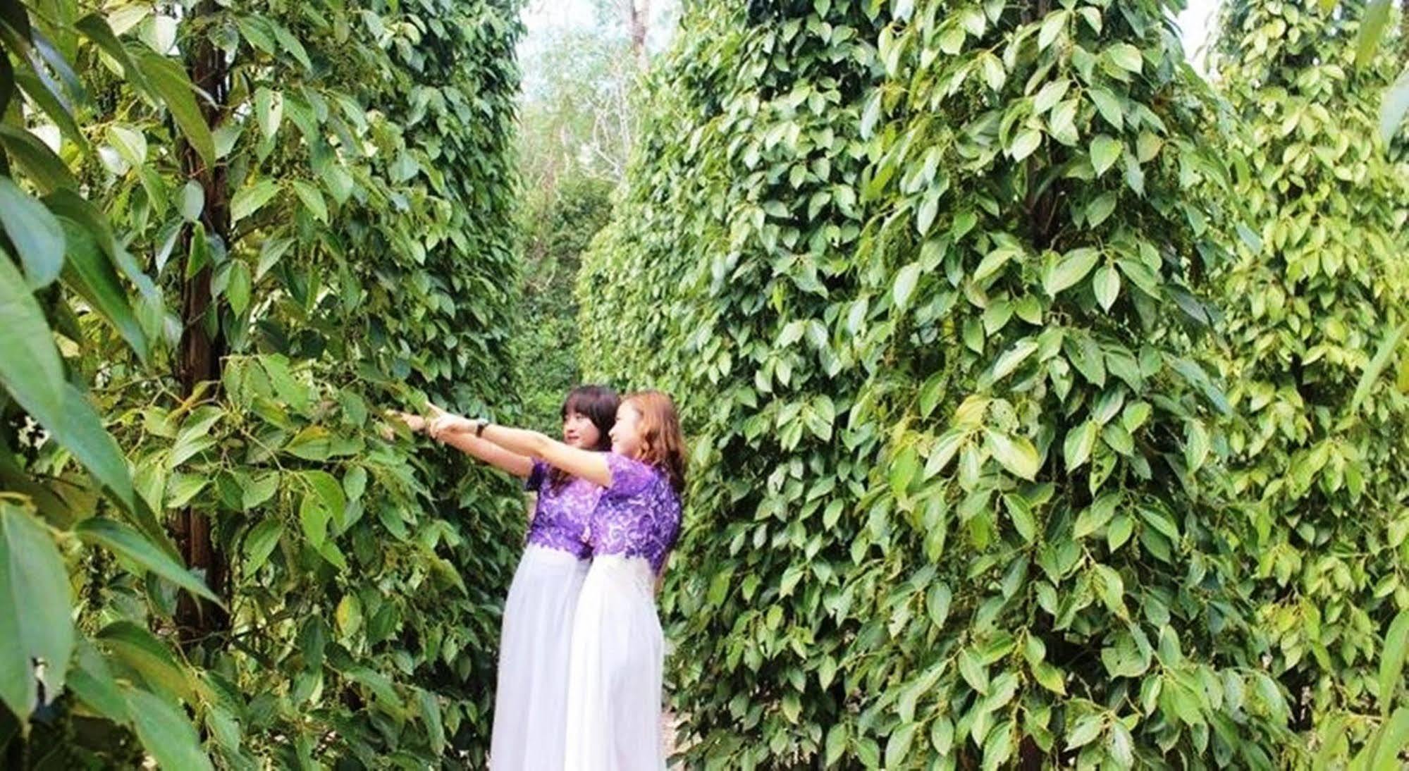 Pepper Farm Phu Quoc Hotel Eksteriør billede
