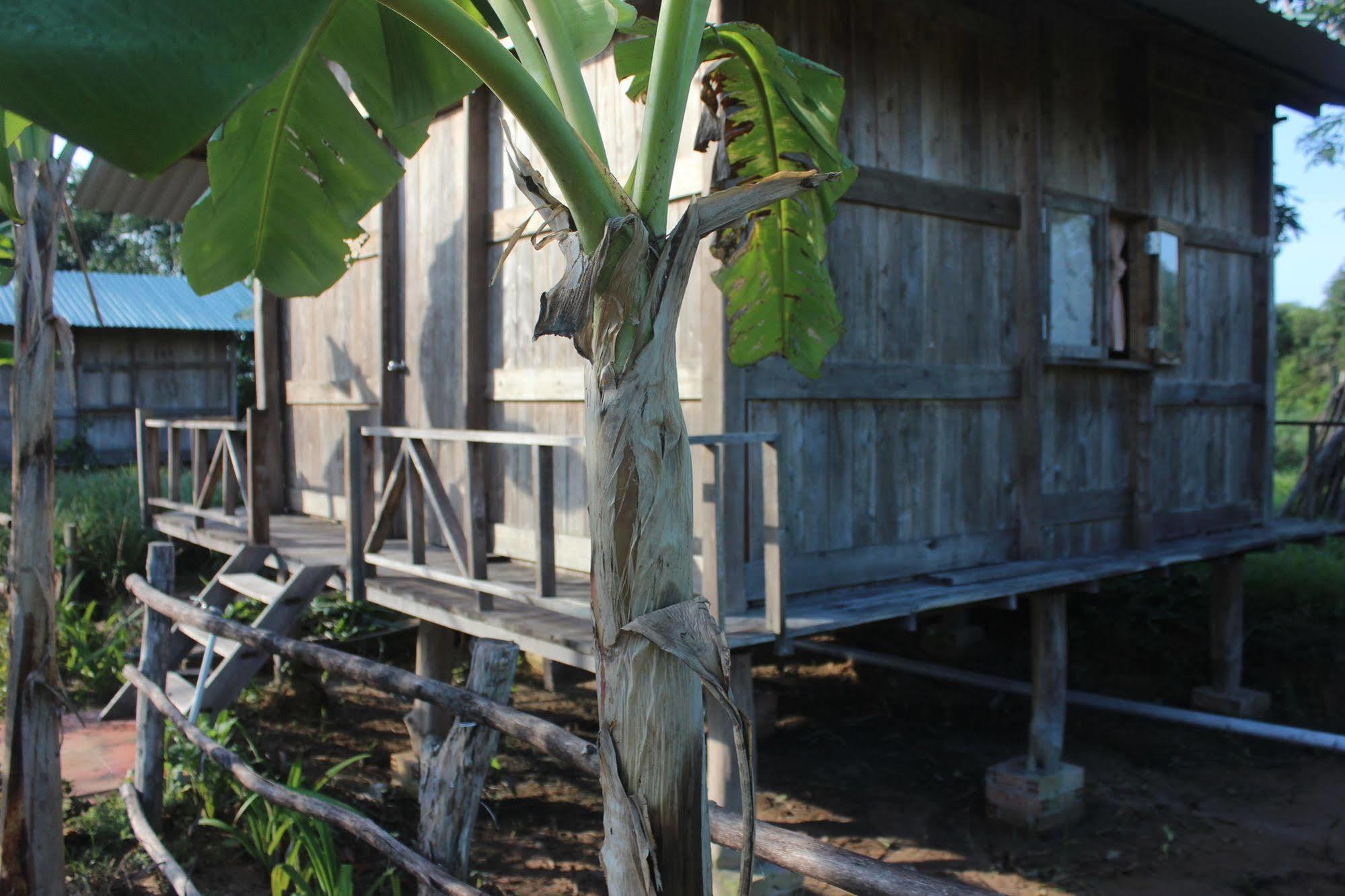 Pepper Farm Phu Quoc Hotel Eksteriør billede