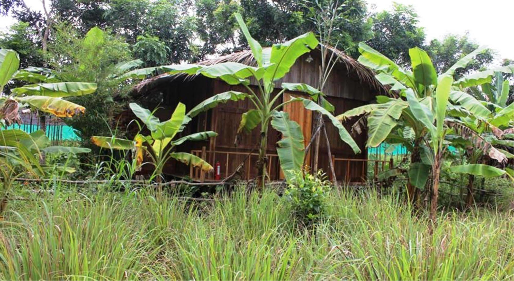 Pepper Farm Phu Quoc Hotel Eksteriør billede