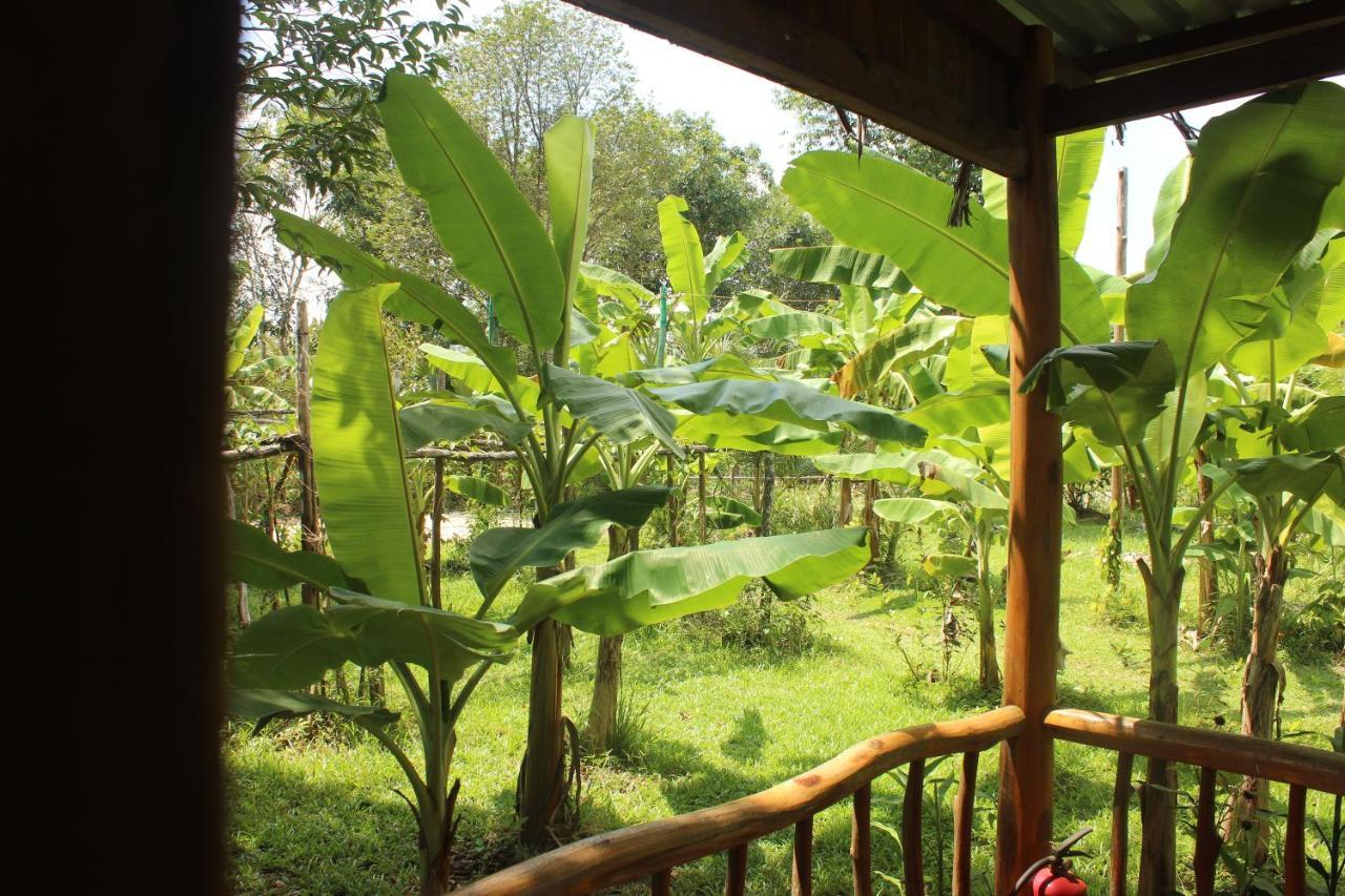 Pepper Farm Phu Quoc Hotel Eksteriør billede