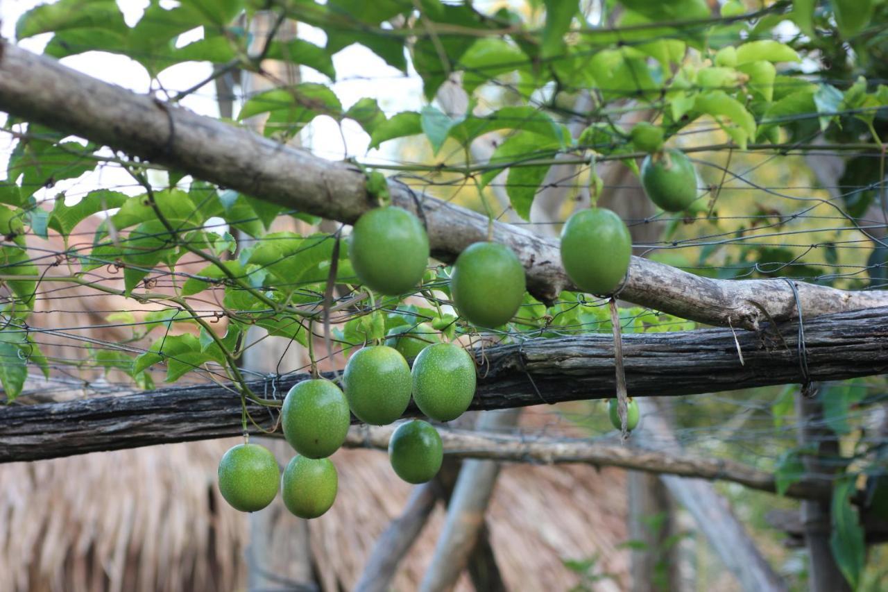 Pepper Farm Phu Quoc Hotel Eksteriør billede